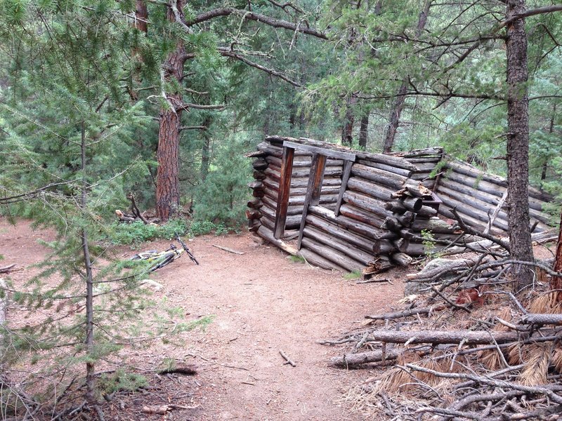 Log cabin ruin.