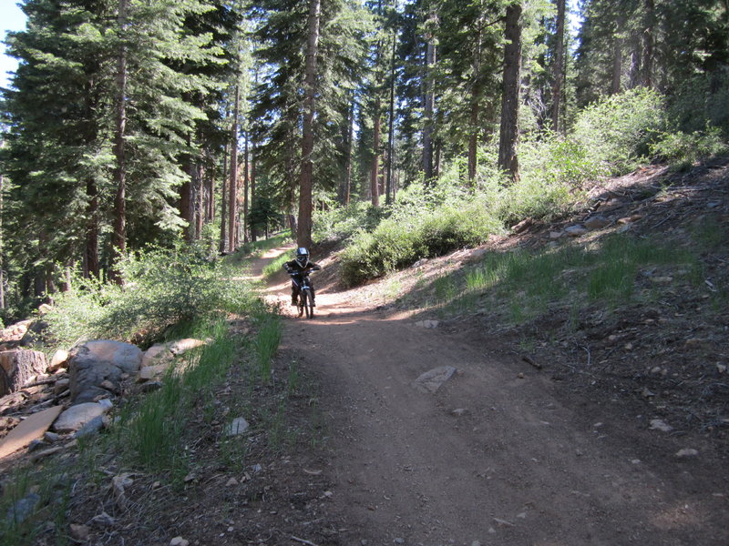 A great trail for beginner riders