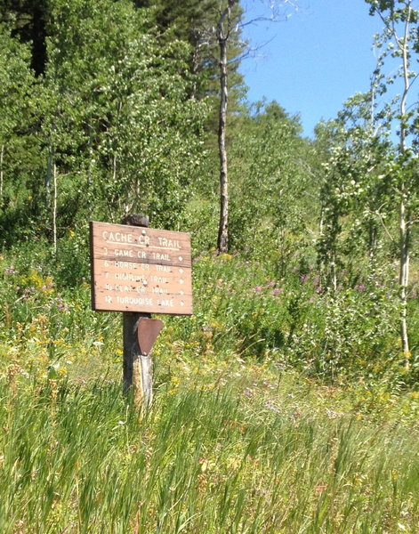 U.S. Forest way marker showing direction from the Putt Putt trail to other trails in the Cache Creek drainage.
