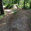 Big table top on the dirt jump line.