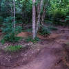 A pump track just off the main trail.