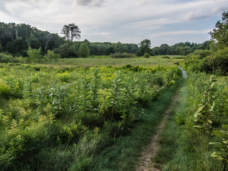 Western Greenway through Rock Meadow Conservation Area.