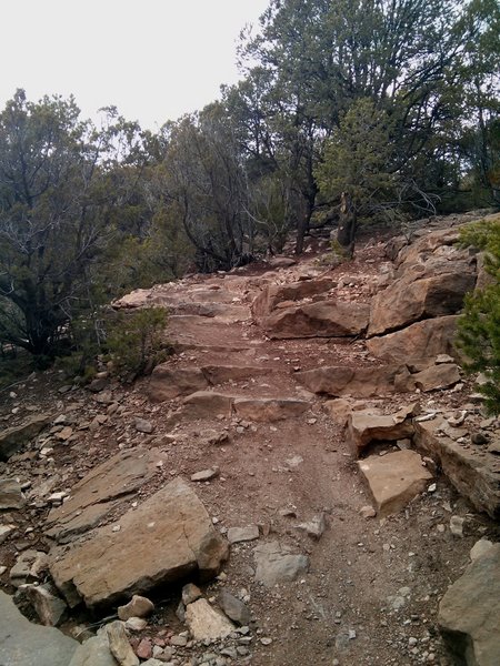 Rock Stair/Stepdown  = FUN!