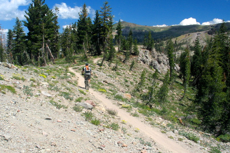 Riding at the base of Andesite Peak after a tough forest climb on the Hole in the Ground Loop.