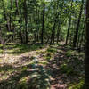 Singletrack on the east side of Townsend SF.