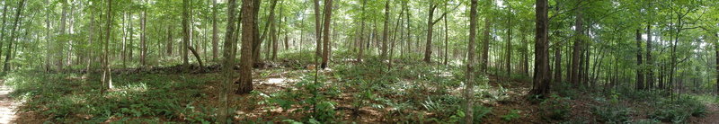 Stone works along Pinhoti east of Pocket Road.