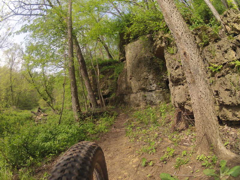 Limestone bluffs along the Snake Trail. The trail runs along a small creek at the bottom of the trail