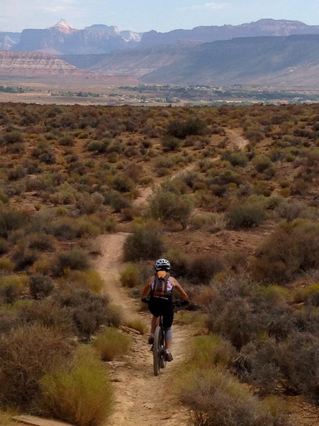 Teena bombing it down the JEM trail back to the Sheep Bridge trailhead.  You can see the town of Virgin, and Zion National Park in the background.