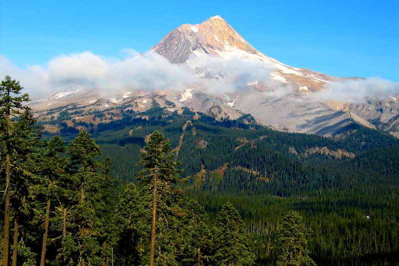 Incredible views of Mt. Hood from Gunsight Ridge.