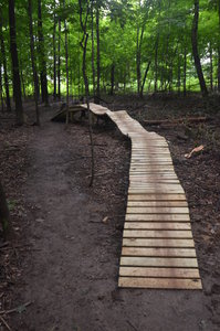 This is a bridge feature built using a fallen tree. It's  nearly 2 feet wide, and 3 feet tall.