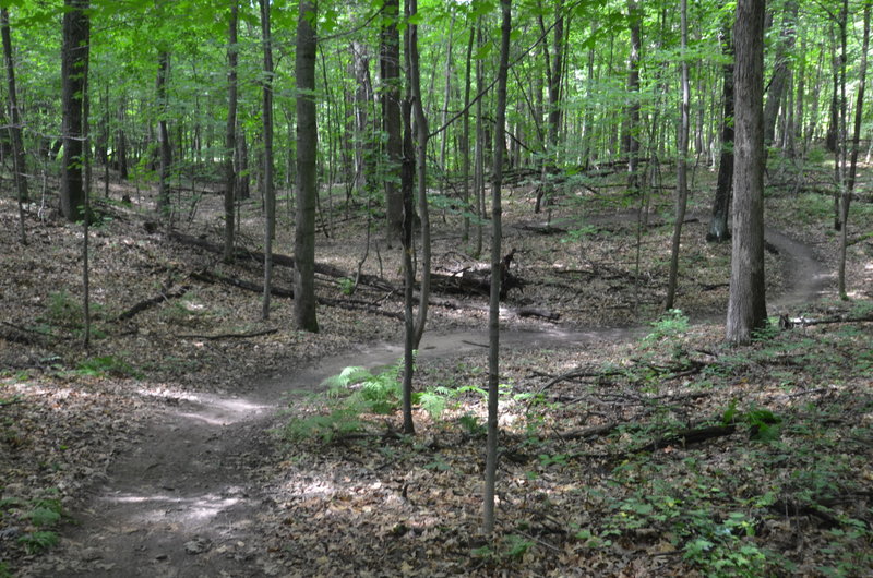 Flowy singletrack on the Wissihickon trail.