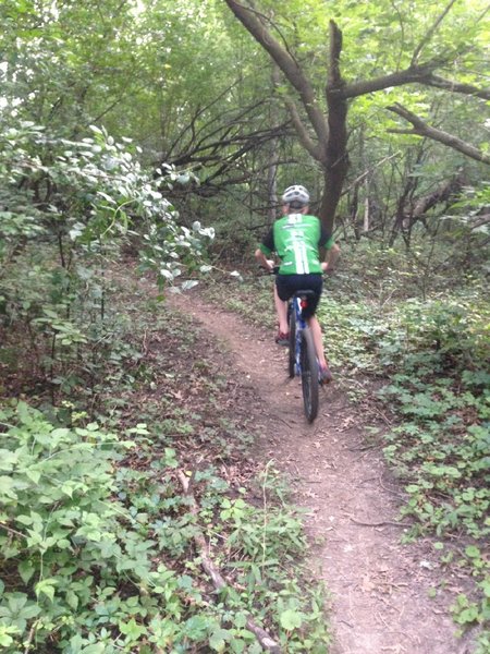 Riding through ivy and trees.