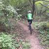 Riding through ivy and trees.