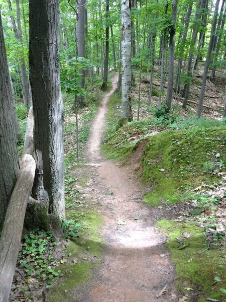 Outer Limits Loop follows the ridge towards Peepsock Creek.