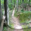 Outer Limits Loop follows the ridge towards Peepsock Creek.