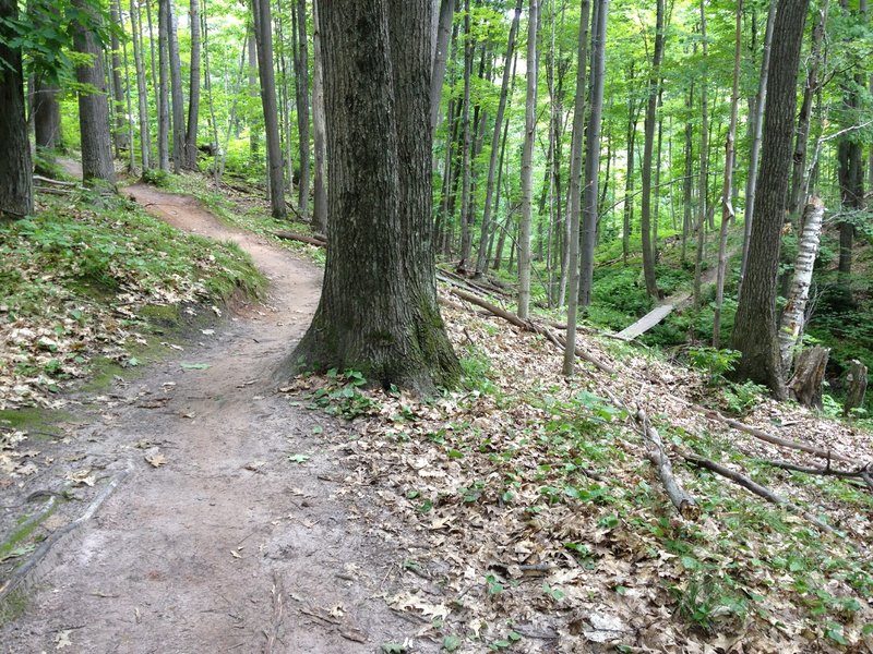 Outer Limits Loop begins it descent into Sandstone Creek on its way to the Peepsock Creek valley across the bridge in the distance.