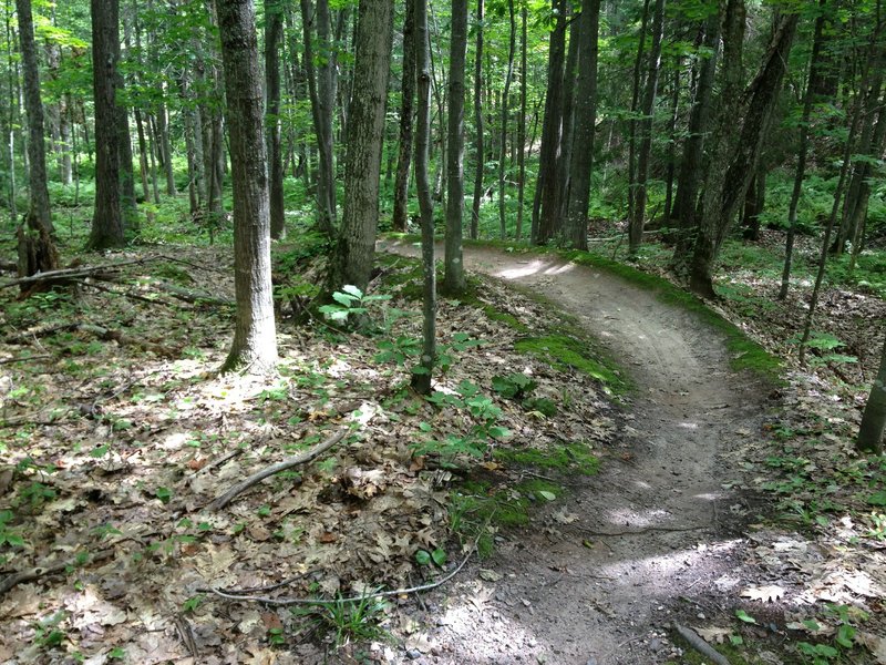 Bermed turn on Twilight Zone Loop.