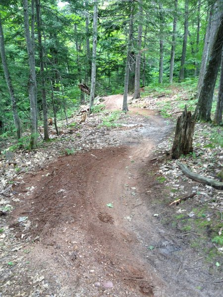 Some small berms on Inner Peace Loop.