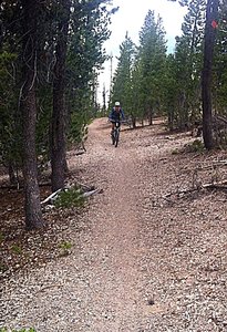 You can really rip through this part of the trail