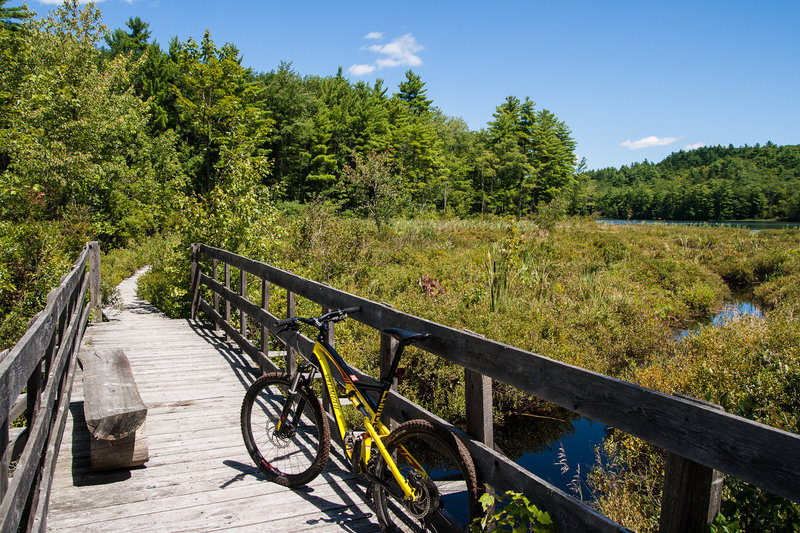 Beaver Pond as seen from Lynx Trail.