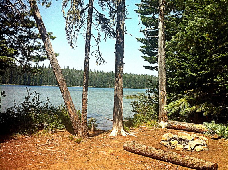 Remote campsite on Deer Lake