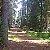 Campsites on the remote west end of Cultus Lake