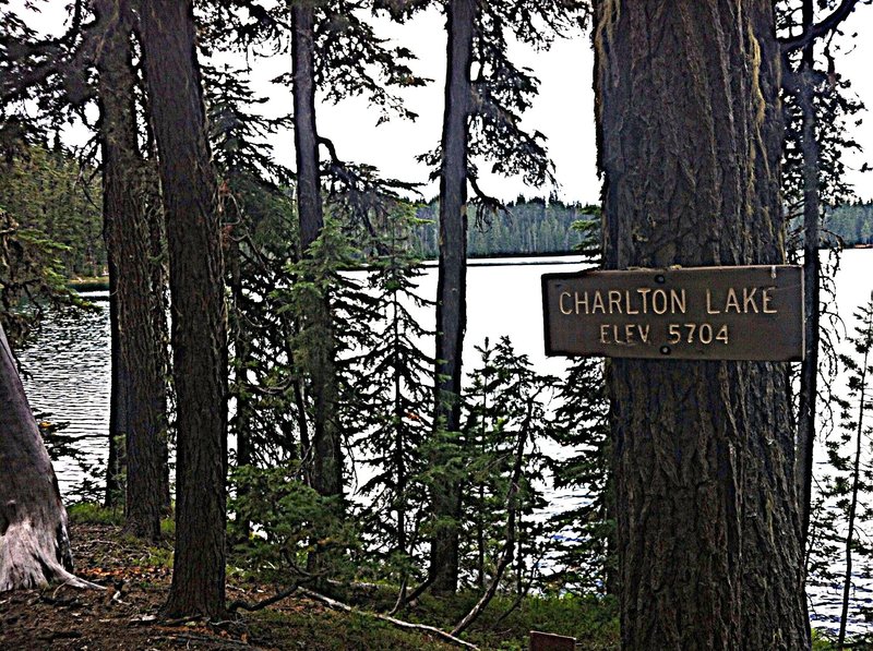 Charlton Lake view