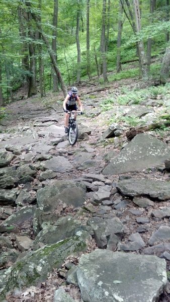 Three Bridges Rock garden, Terri is floating right through it.