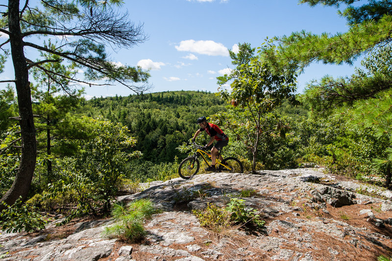 Rider navigating the outcrop on Hall Mountain singlerack.