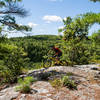 Rider navigating the outcrop on Hall Mountain singlerack.