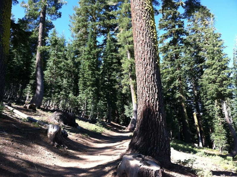 View of the switchbacks.