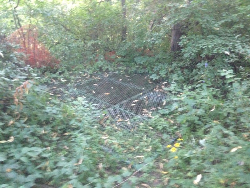 Covered Mine Shaft. This is one of about 7 covered abandoned lead mine shafts here in FDR Park. These are left over from the lead mining days of the late 1800's to early 1900's. The metal grate covers are solid and very reliable. Very interesting history here with many reminders of the past.