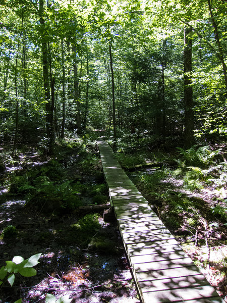 Wet area on Chipmunk close to its southern end.