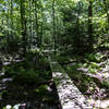 Wet area on Chipmunk close to its southern end.