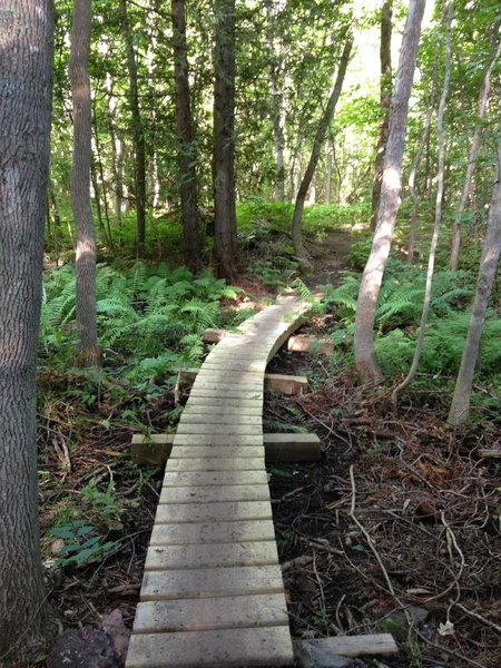 Curving boardwalk over lowlands on Barking Frog Loop