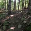 Wooded rocky knob on Barking Frog Loop.