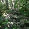 Major rock garden on Hairy Toad Loop.