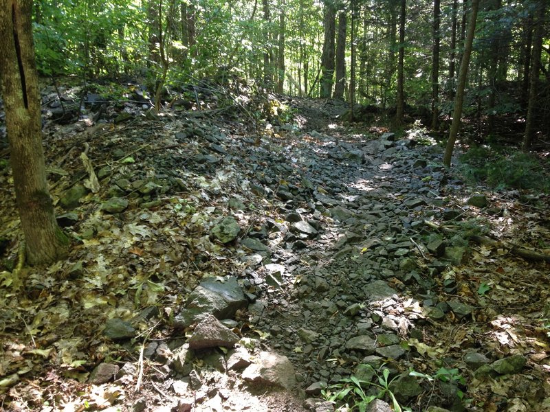 Crossing a poor rock pile from copper mining days on Hairy Toad Loop.