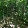 Hairy Toad Loop on an old narrow gauge railroad bed.