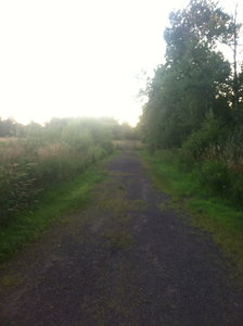 trailhead parking in cemetery