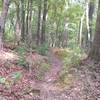 Nice wooded trails.  Beginner friendly.