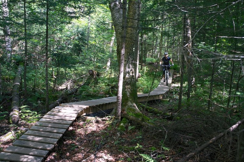 Nice ladder bridges on East Branch.