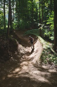 Gin on the berms of Jester.