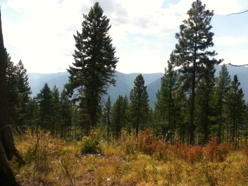 Great view overlooking the valley.