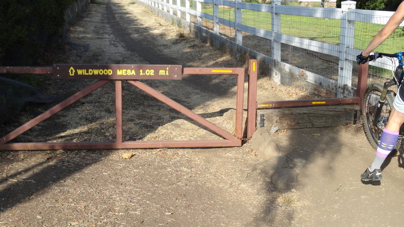 Entrance gate from Talal Ct.