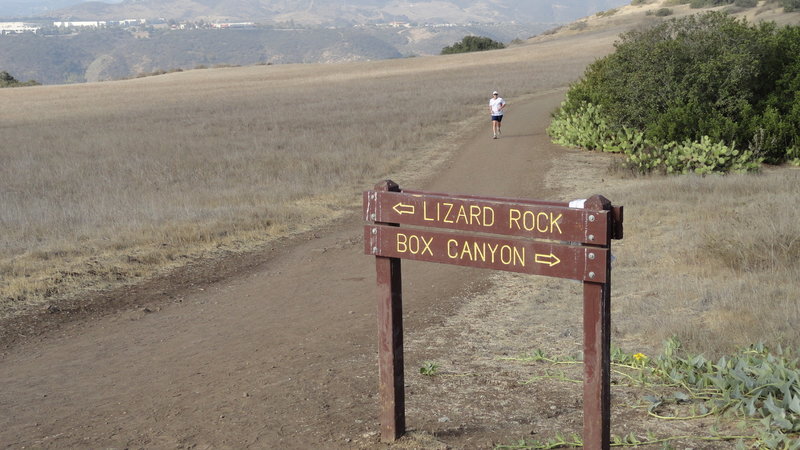 Intersection of Box Canyon and Lizard Rock Trails