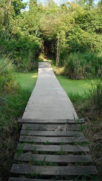 Floating bridge