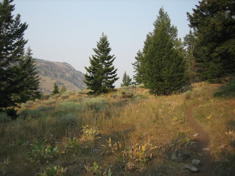 Heading up the sage draw trail.