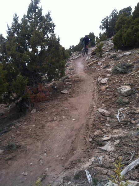 Descending the Cactus Patch