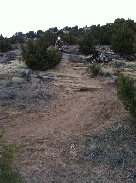 Phil on Cactus Patch.